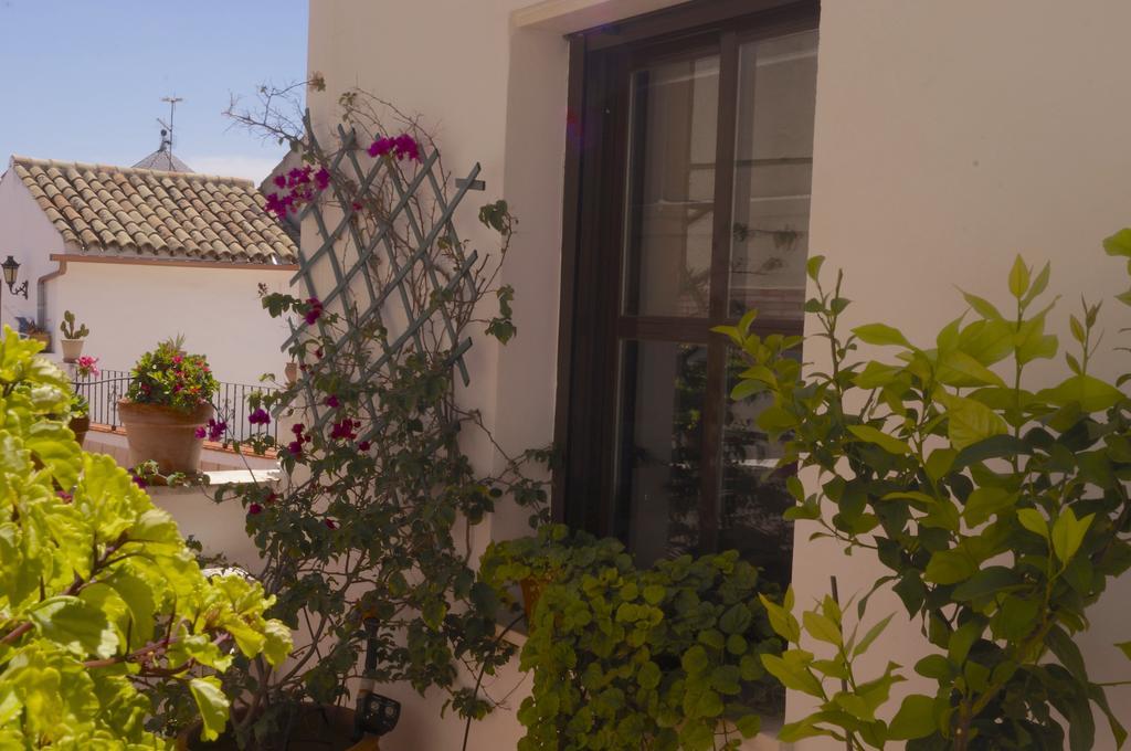 Penthouse Puerta De La Juderia Apartment Córdoba Exterior foto