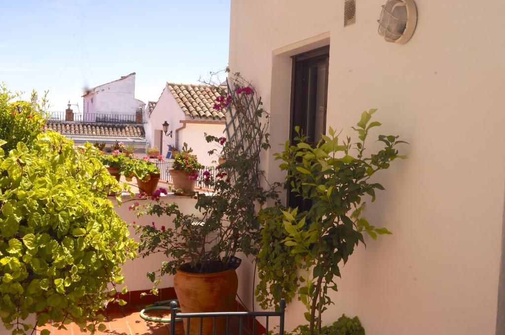Penthouse Puerta De La Juderia Apartment Córdoba Exterior foto